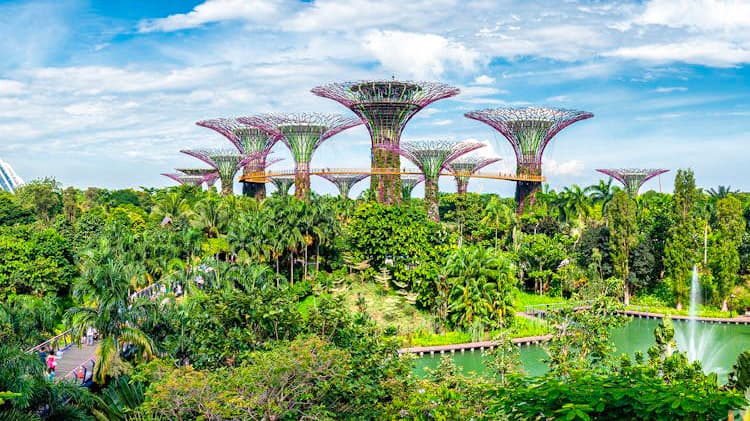 Gardens by the Bay