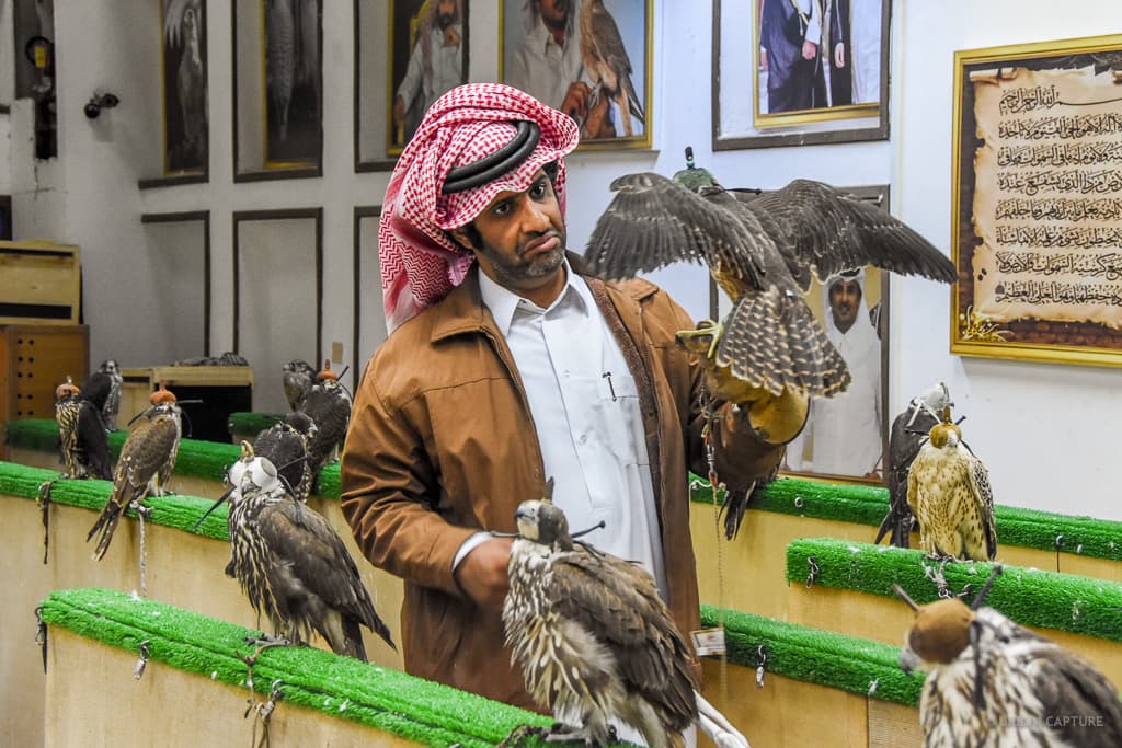 The Falcon Souq