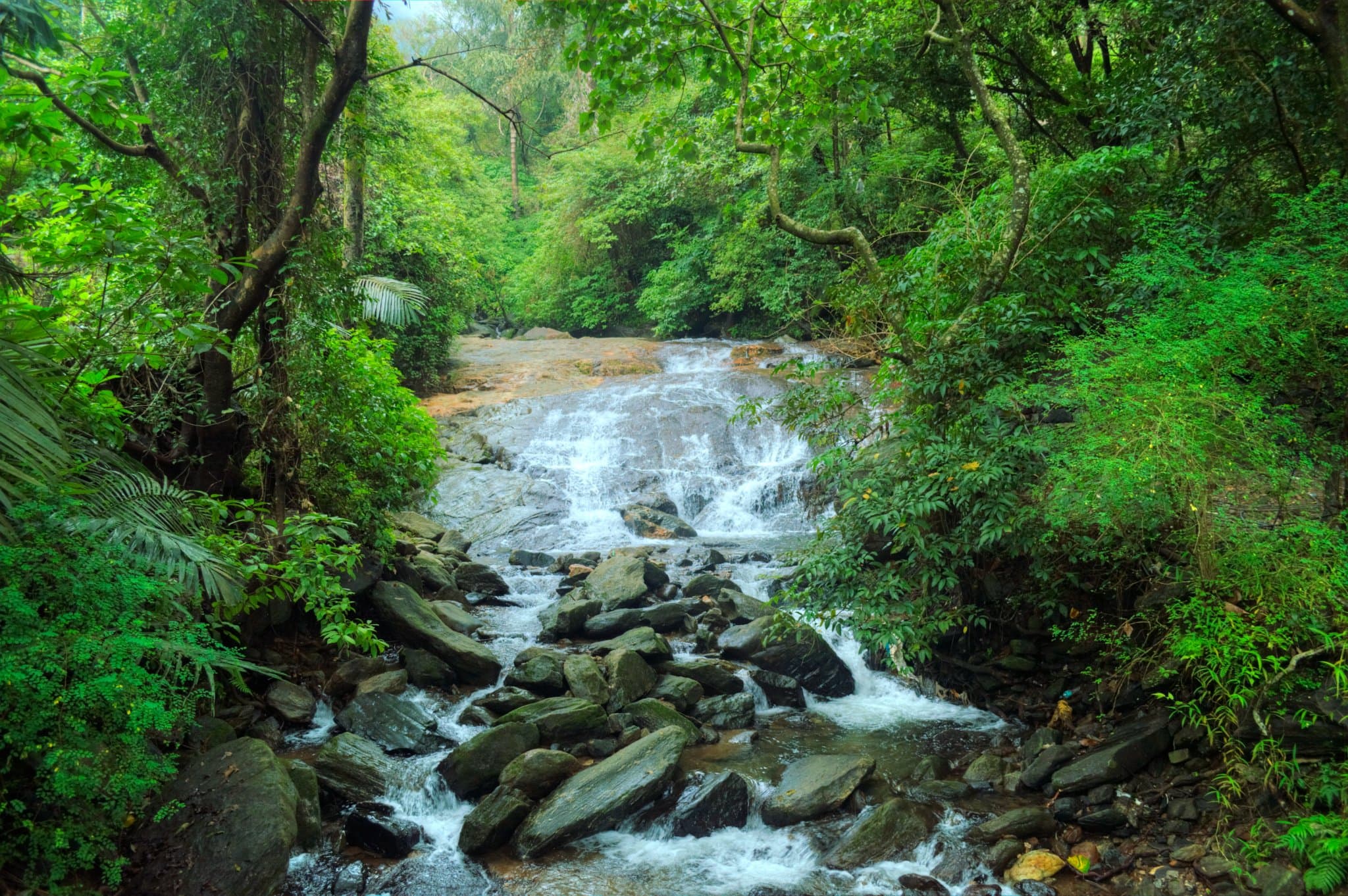 Waterfalls and Tea Plantations