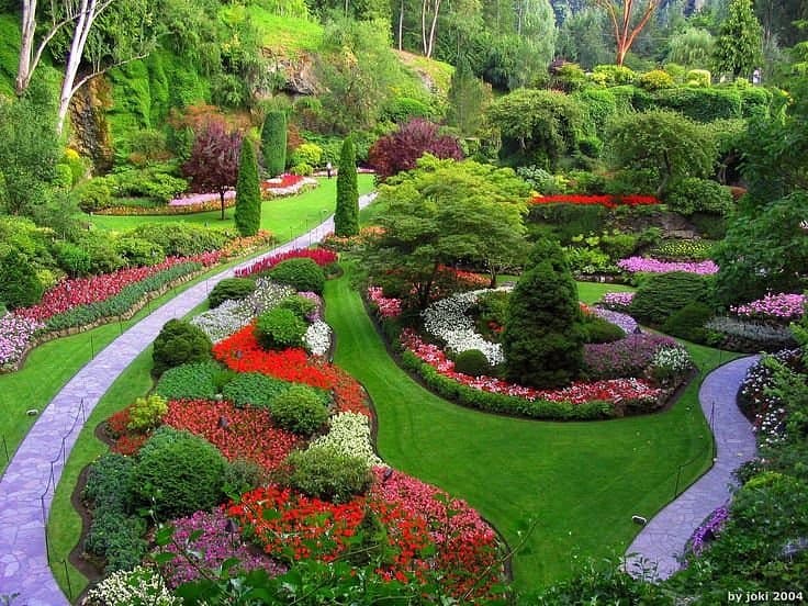 The Botanical Garden in Ooty