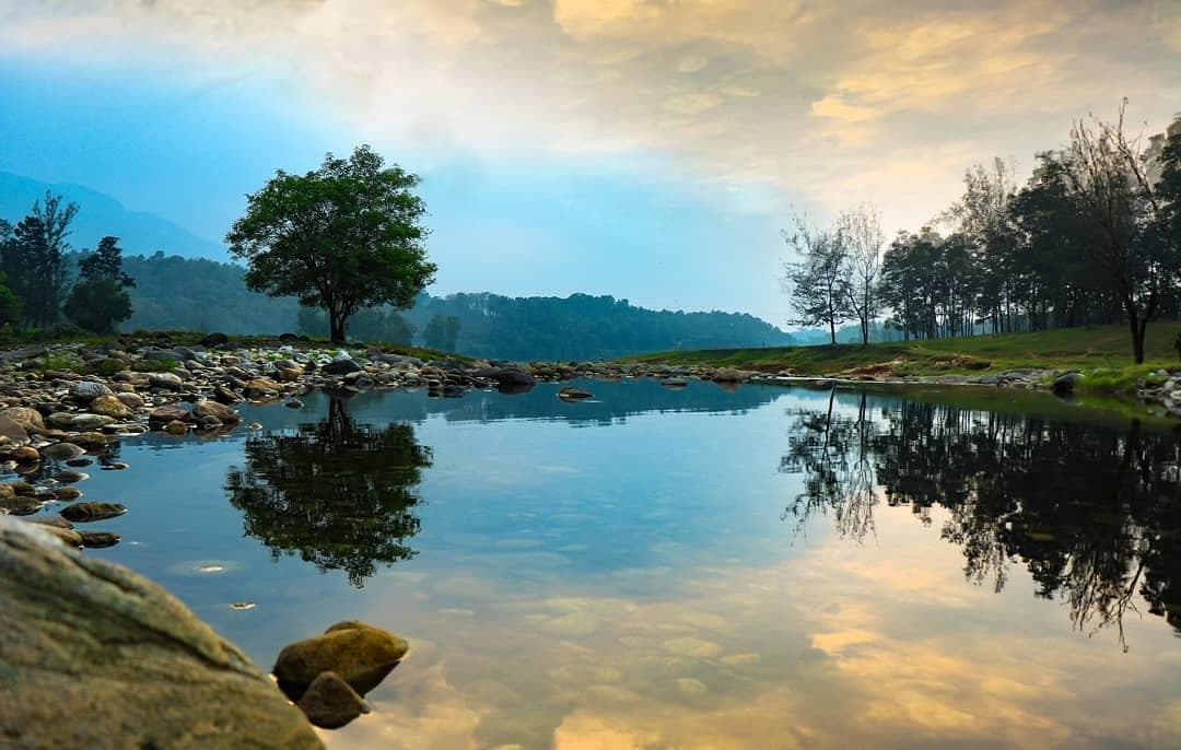 Thonikadavu Viewpoint