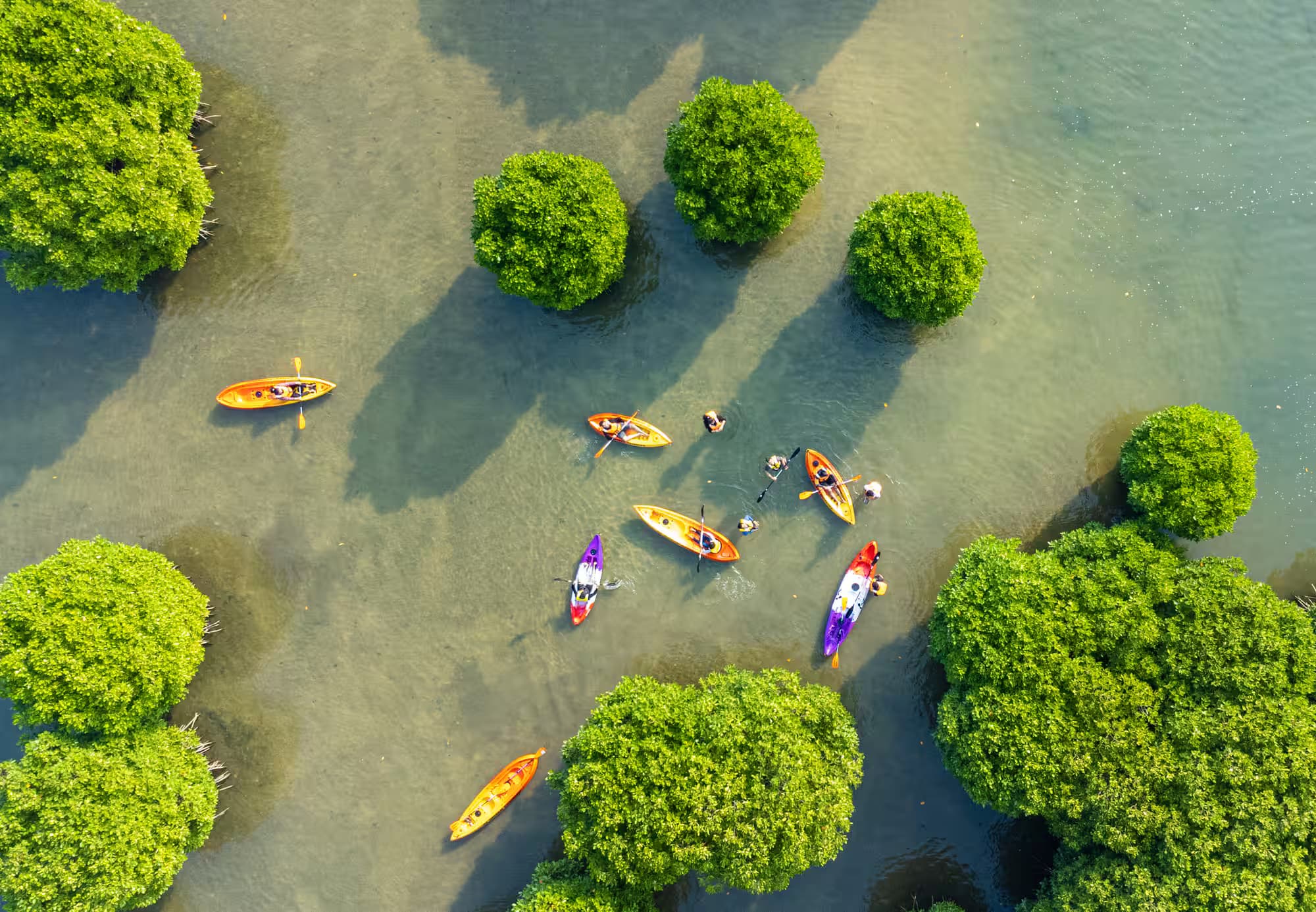Kavvayi Backwaters