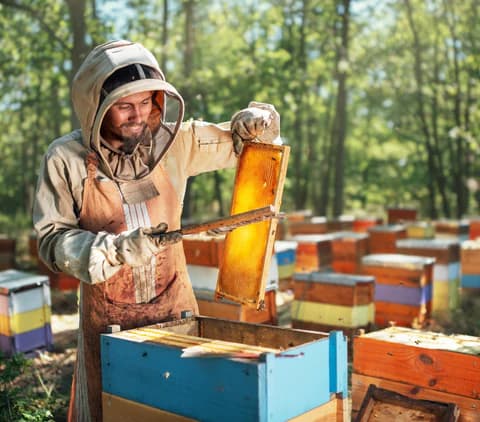 The Honey Museum