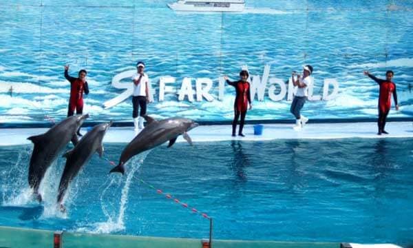 Pattaya to Bangkok – Safari World & Marine Park