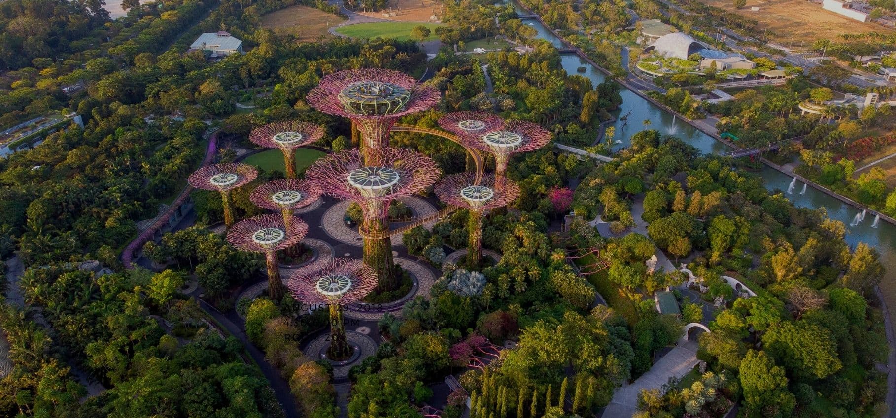 Singapore City Tour & Gardens by the Bay