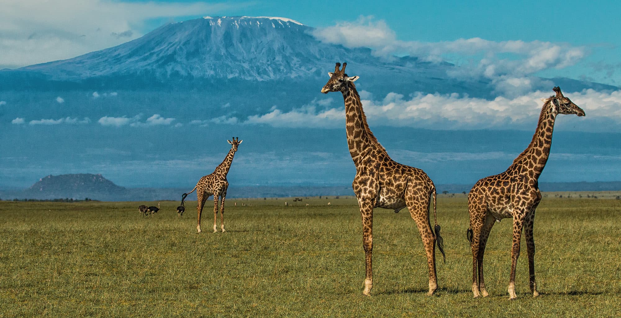 Lake Naivasha to Amboseli National Park