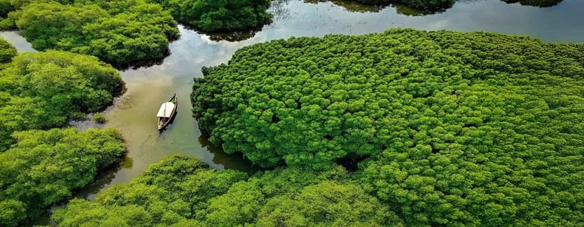 From Coastal Charms To Highland Harmony / من سحر السواحل إلى انسجام المرتفعات
