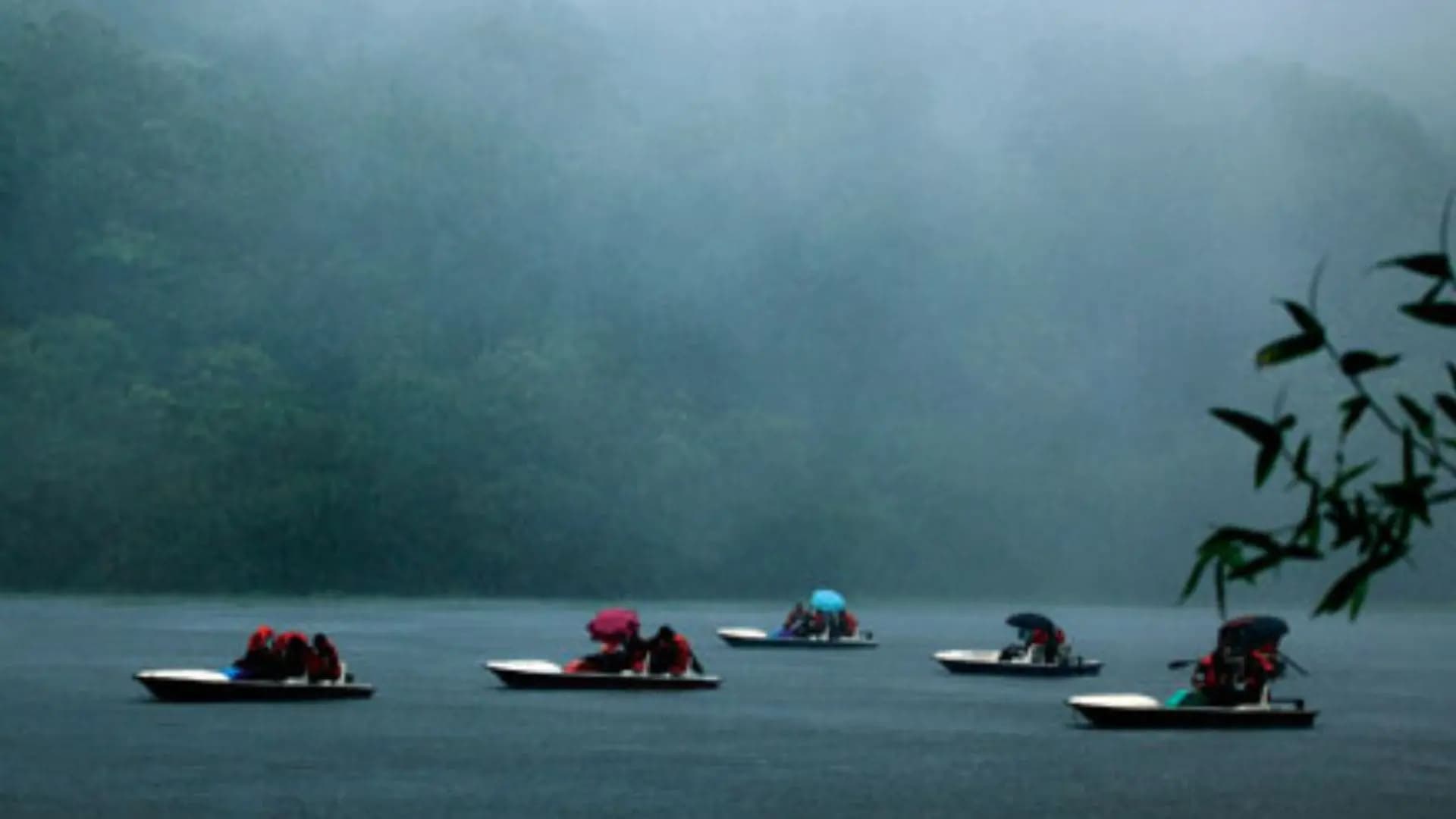 Pookode Lake