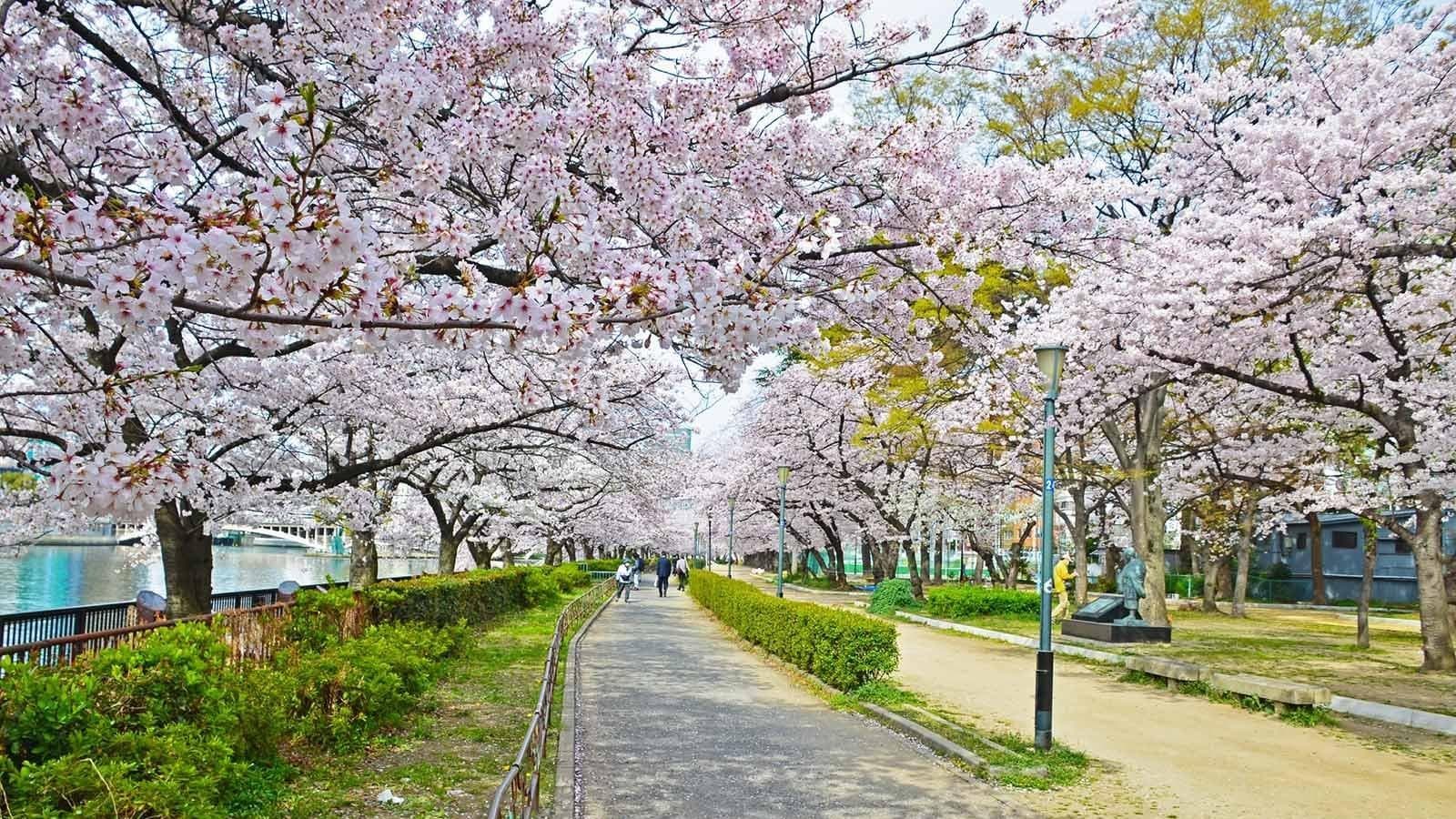 Ueno Park