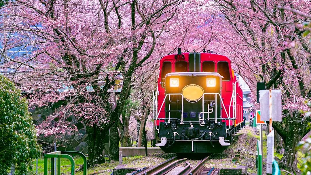 Sagano Train Ride (Ticket at Your Own Expense)