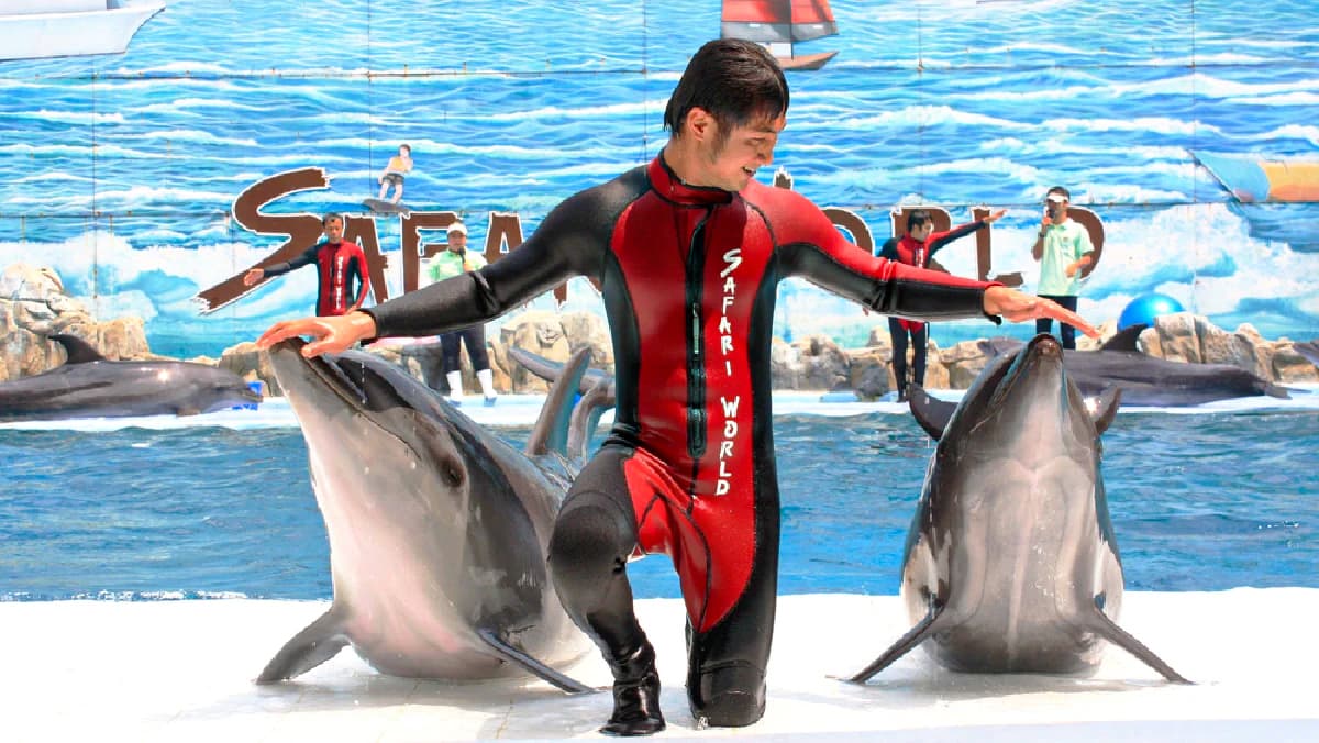 Dolphin and Sea Lion Shows